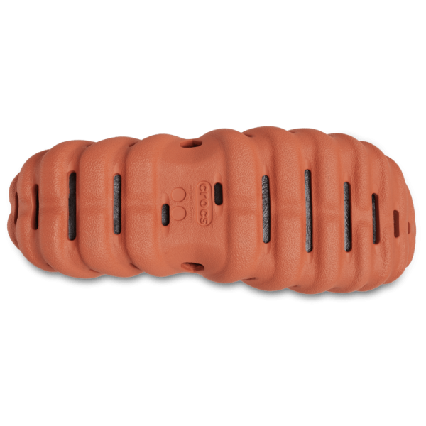 NBA Echo Slide - Image 4