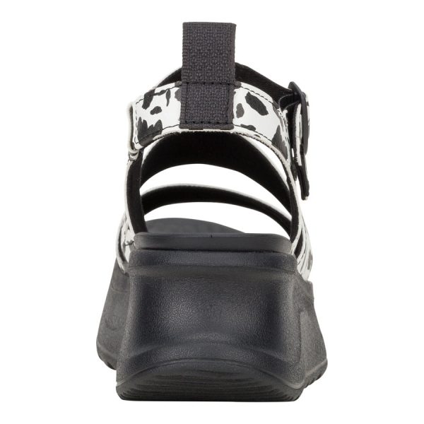 Delray Buckle Animal C Black/White - Image 5